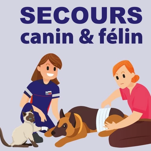 Secours canin et félin – SCF